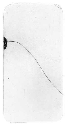 Miguel - image: Sam Hodge