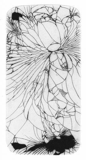 Roger - image: Sam Hodge