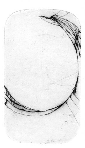 Sarah - image: Sam Hodge