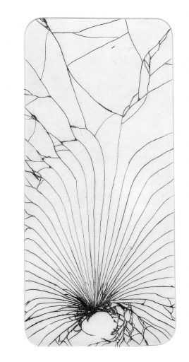 Jake - image: Sam Hodge